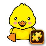 Duck Puzzle Challenge