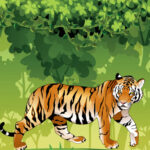 Angry Tiger Coloring