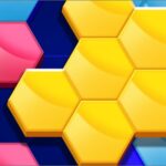 Hexa Puzzle