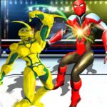 Robot Ring Fighting Wrestling Games