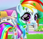 Rainbow Pony Caring